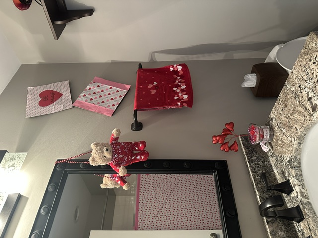Bathroom for Valetines